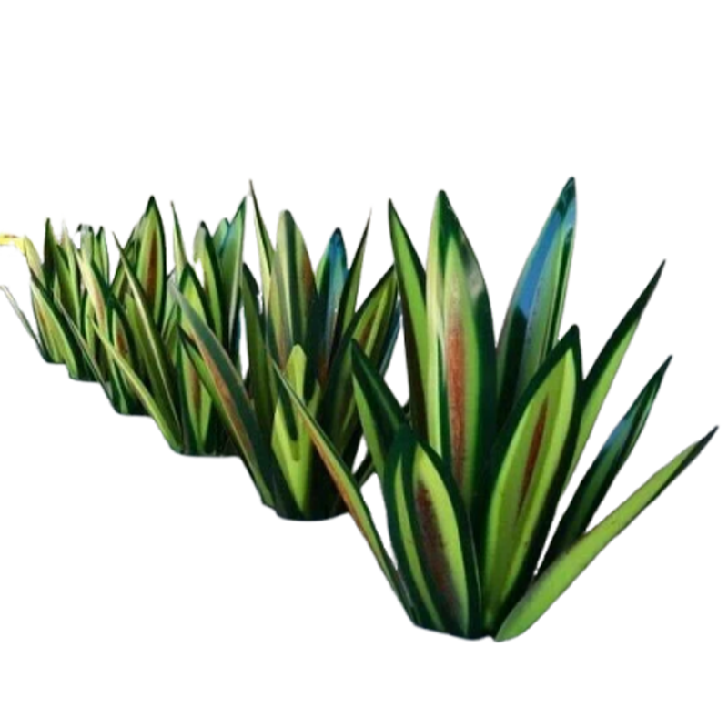 Sherum Anti-rust Metal Tequila Agave Plant
