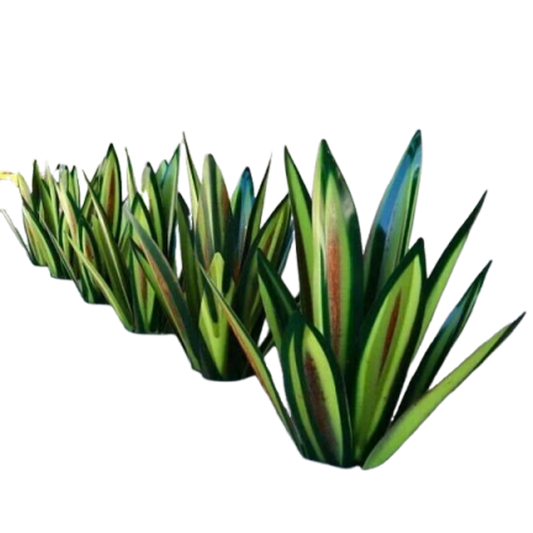 Sherum Anti-rust Metal Tequila Agave Plant