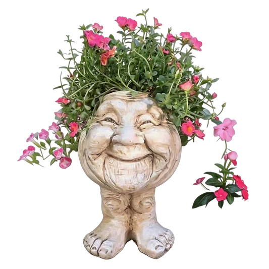 Sherum Joy Planter