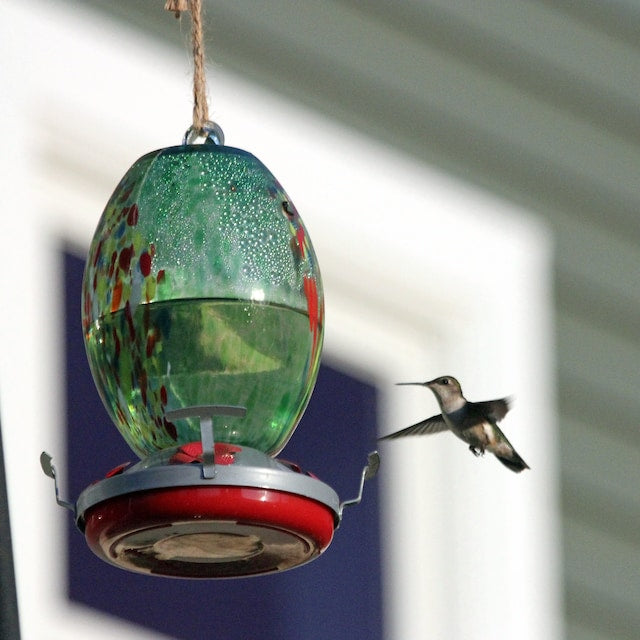 Sherum Hummingbird Feeder Hand Blown Glass - 25 Ounces